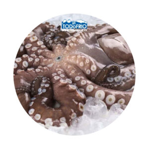 Pulpo Del Norte Crudo Iqf (1 Kg)